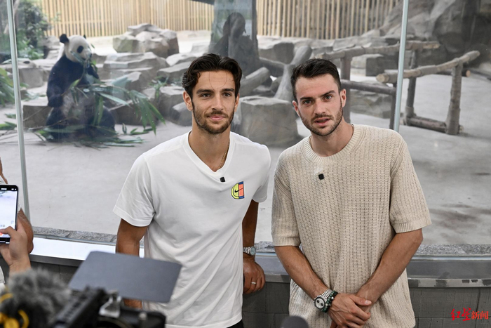 像激发的行 像激发的行